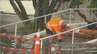 Сильные ливни вызвали наводнения в Окленде