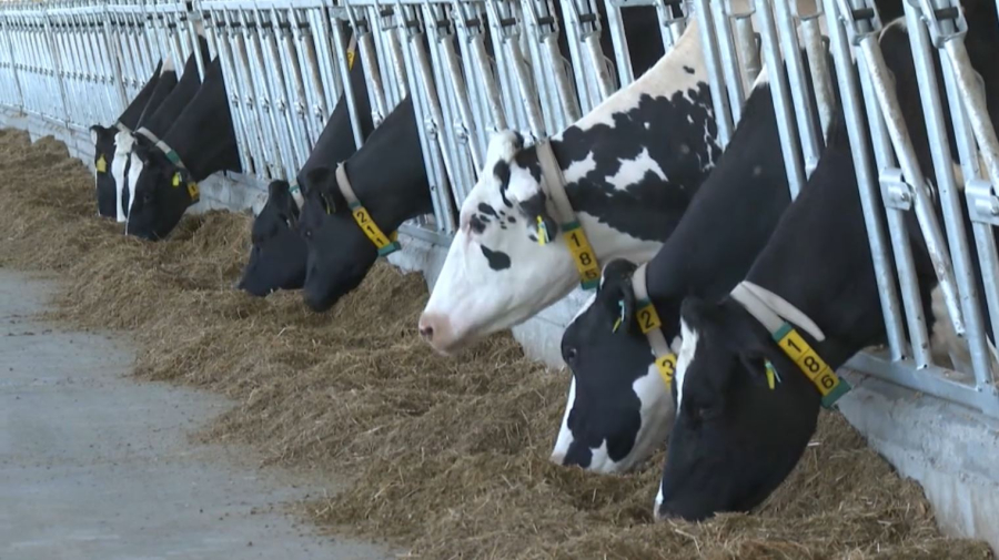 677 проектов на ₸3,3 трлн реализуют в сельском хозяйстве РК до 2027 года