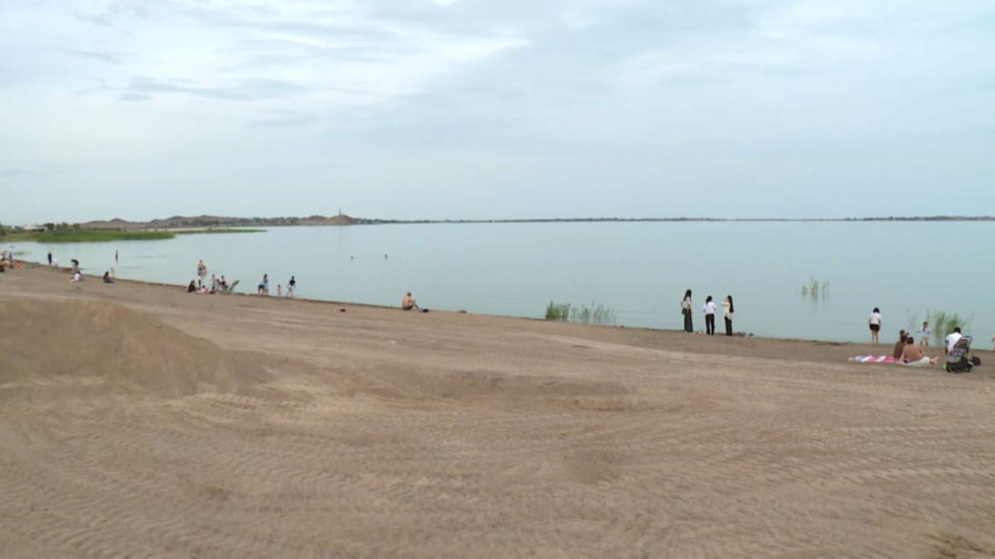 Балқашта маса қаптап кетті