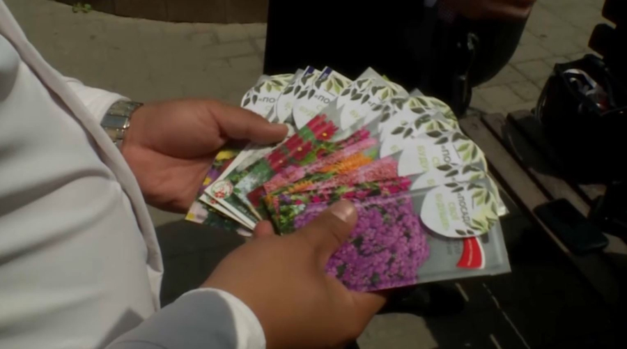 Семена многолетних цветов подарили талдыкорганцам эковолонтёры