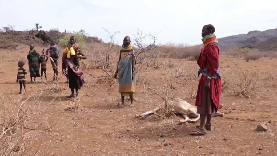 Глобальные изменения климата ставят под угрозу миллионы людей
