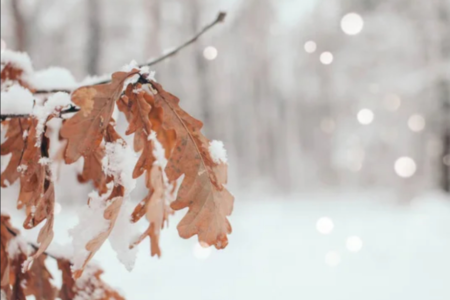 Сильные осадки и гололед прогнозируют в Казахстане