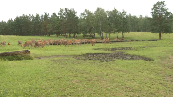 Ақмола облысының туризм саласында 50 жоба жүзеге асып жатыр