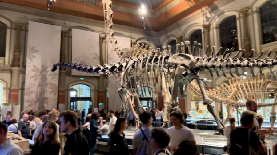 Минералы из Казахстана представили в музее Берлина