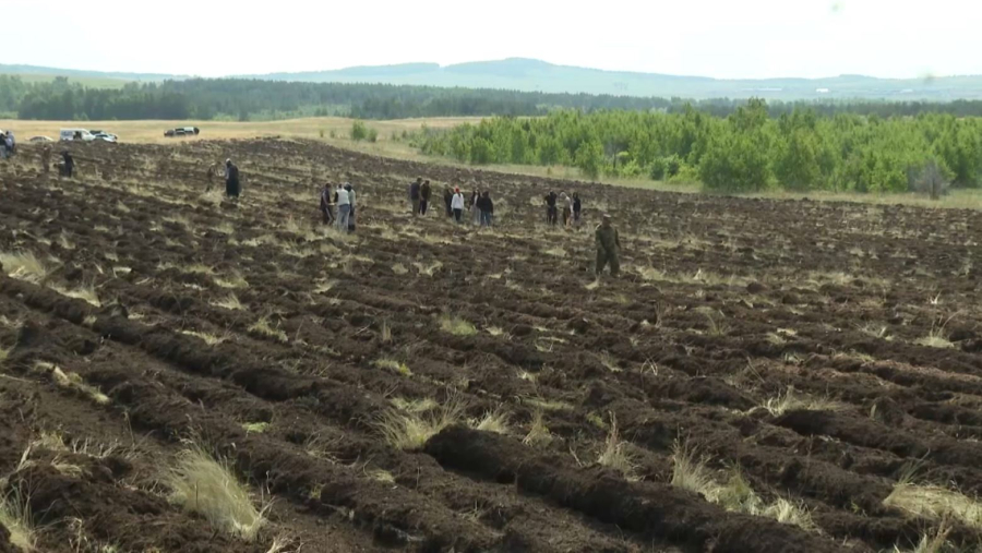 Ақмола облысында екі тұқымбақ салынып жатыр