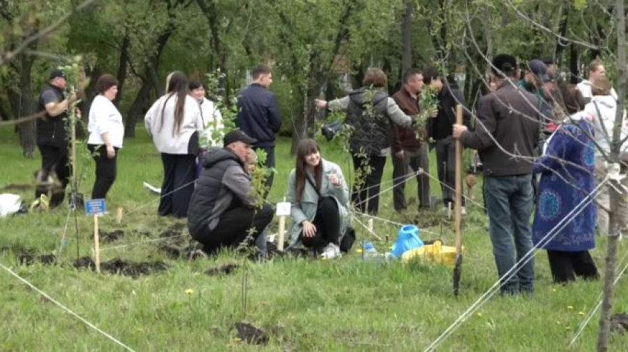 Семейная аллея появилась в Петропавловске