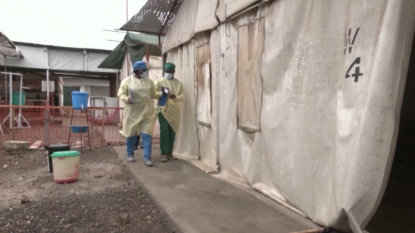 Два случая заражения штаммом оспы обезьян выявили в Великобритании