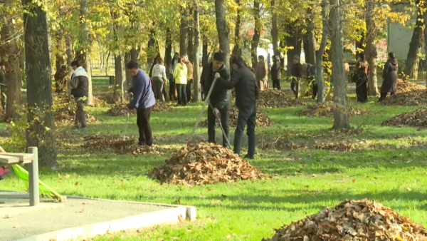 Жамбыл облысында 140 саябақ пен алаң тазартылды