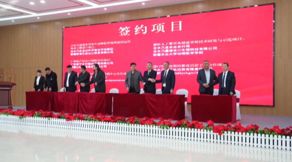 Қазақ-қытай шекарасында жаңа сауда аймағы ашылды