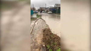 Девять дворов затопило в Туркестанской области
