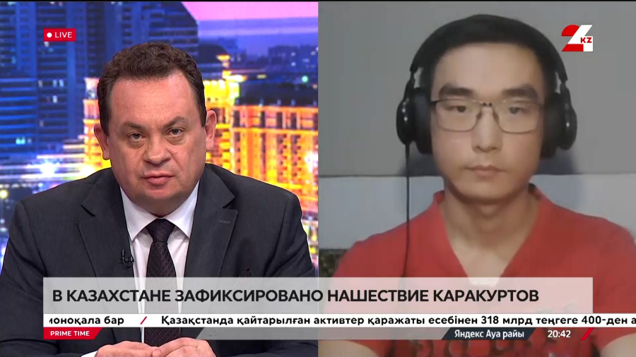 Нашествие каракуртов в Казахстане. Леонид Ким