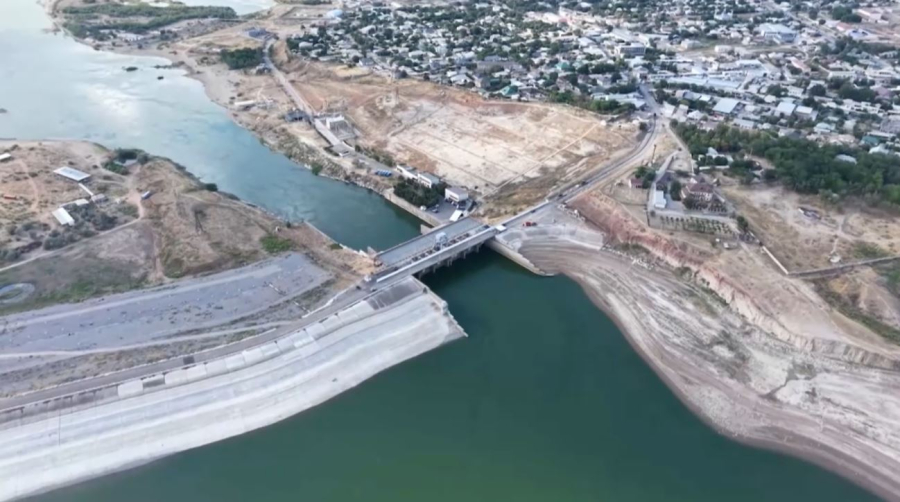 Жасанды интеллект суды үнемдейді