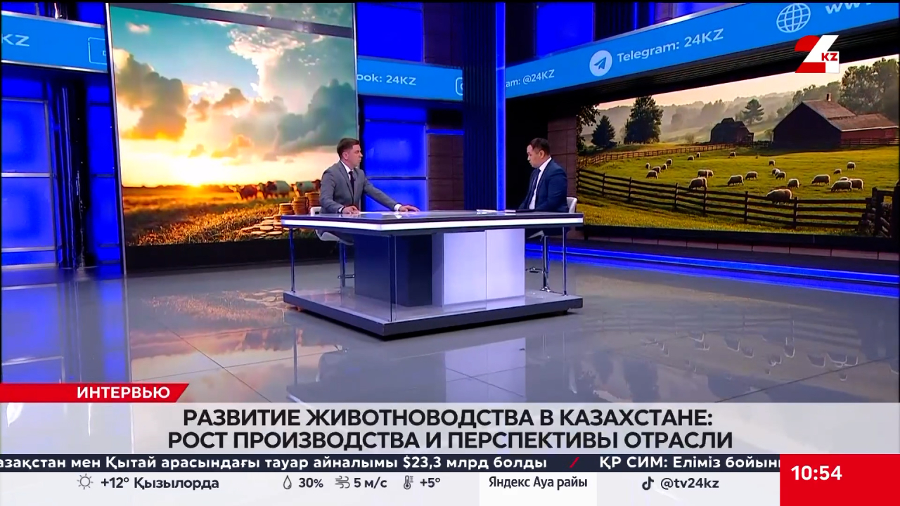 Развитие животноводства в РК: рост производства и перспективы отрасли. Баглан Аймурзаев