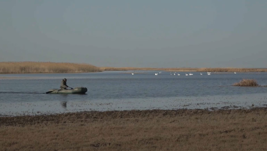 Батыс Қазақстанда балық шаруашылығы дамып келеді