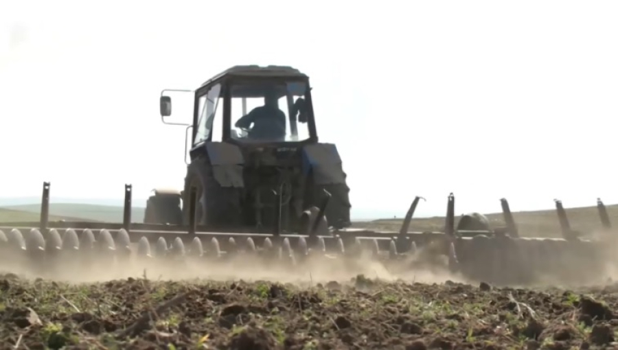 Казахстанские аграрии засеют в этом году почти 24 млн га земли