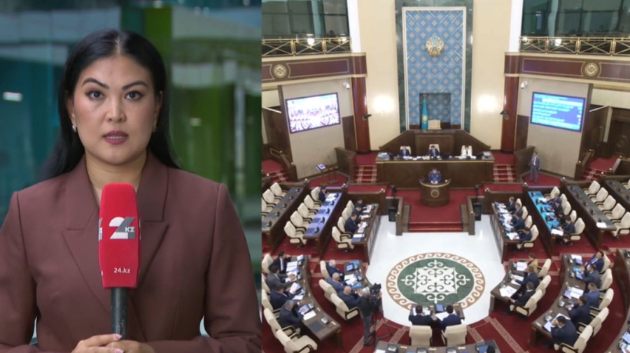 Қазақстан мен Армения 90 күнге визасыз режим енгізді