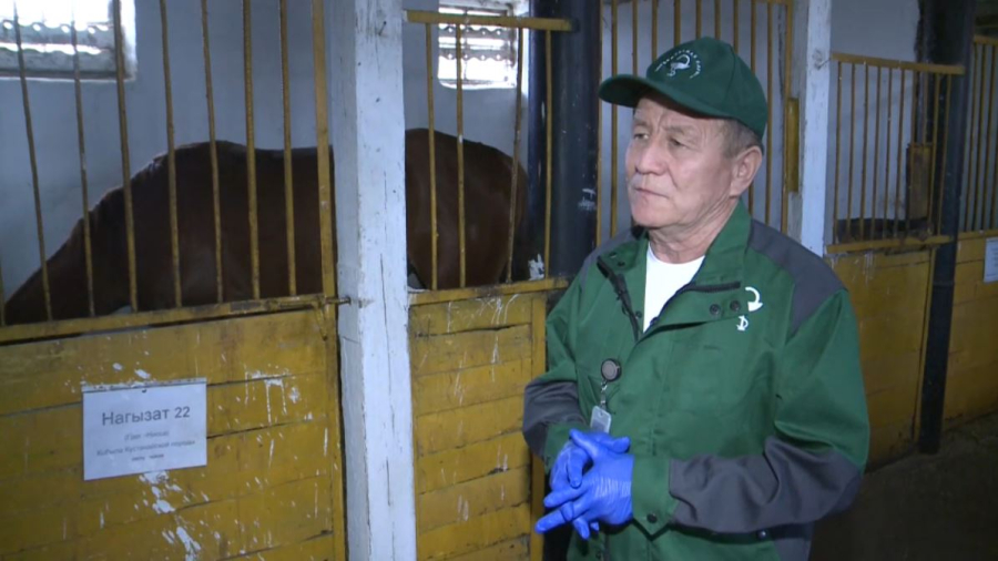 Қостанай облысында 800-ден астам ветеринар жұмыс істейді