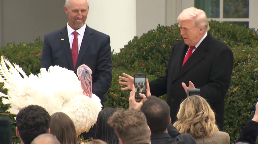 День благодарения отмечают в США