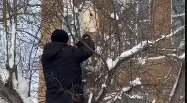 Экологическая акция стартовала в Казахстане