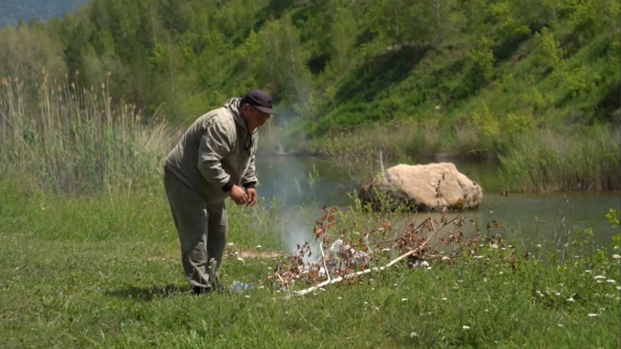 ШҚО-дағы орман аумағына бақылау күшейді