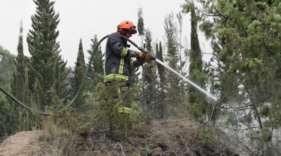 Францияда бір тәулікте 16 мың гектар орман өртенді