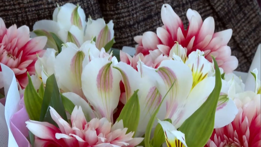 Грек-рим күресінен әлем чемпионы Айдос Сұлтанғали елге оралды