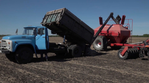 200 тысяч тонн семян выделят нуждающимся фермерам