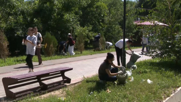 100 человек приняли участие в экологической акции в Алматы