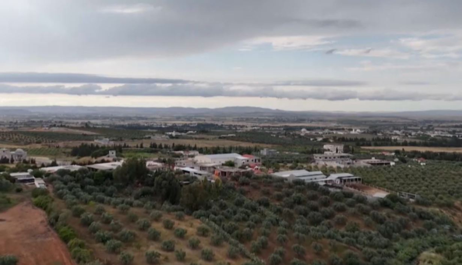 Из отходов — в топливо: тунисский стартап нашёл решение для экологии