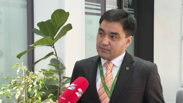 Қазақстанда 100 мың адам ерікті түрде өз өмірін сақтандырған