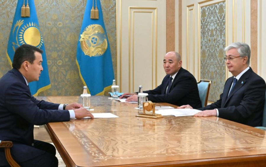 Президент Жоғары аудиторлық палата төрағасы Әлихан Смайыловты қабылдады