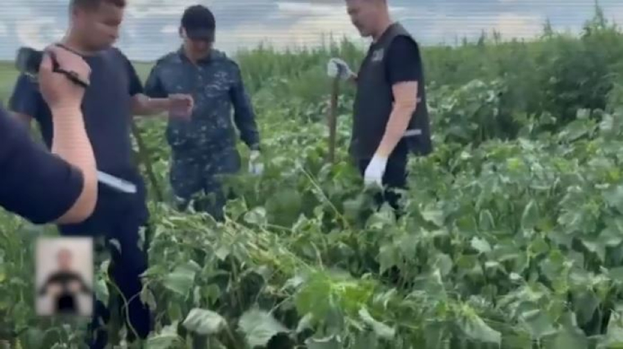 Шілде айында 121 келіден астам синтетикалық есірткі заңсыз айналымнан алынды