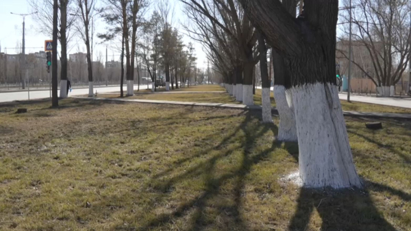 Павлодар облысында тазалық айлығы басталды