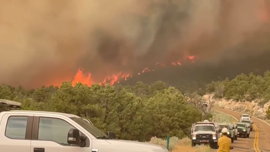 Пожар в Гранд-Каньоне: сгорело 18 тысяч гектаров