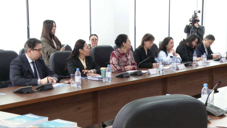 Әлеуметтанушылар Ата заңдағы өзгерісті талқылады