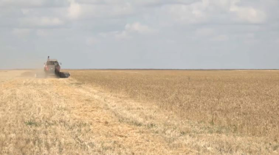 БҚО-да 17 мың га жер мемлекет меншігіне қайтарылды