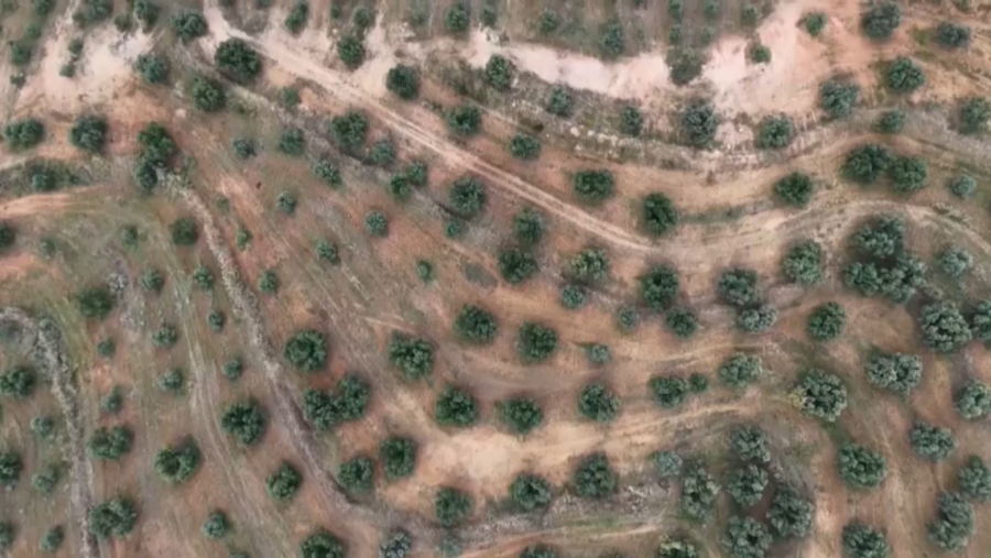 Тунисте қалдықтан биоотын жасалады