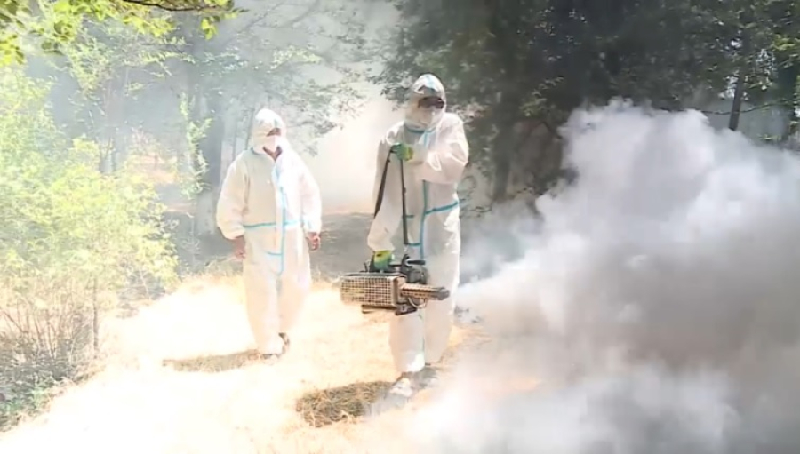 Борьбу с мошками усилили в Туркестанской области