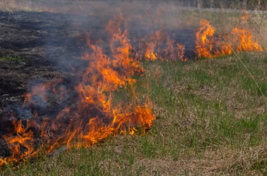 Правила пожарной безопасности: спасатели обратились к казахстанцам