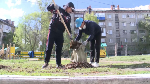 Қостанайда ардагерлердің ауласы абаттандырылды