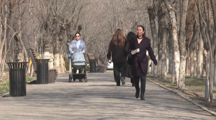 Тараздықтар жаңа Конституцияны қолдайды. Сауалнама