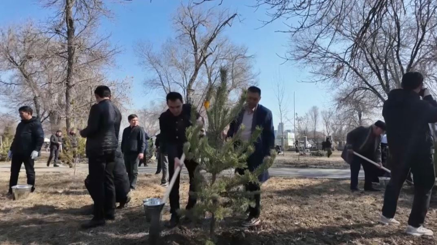 Жетісу облысында 300 тонна тұрмыстық қалдық шығарылды