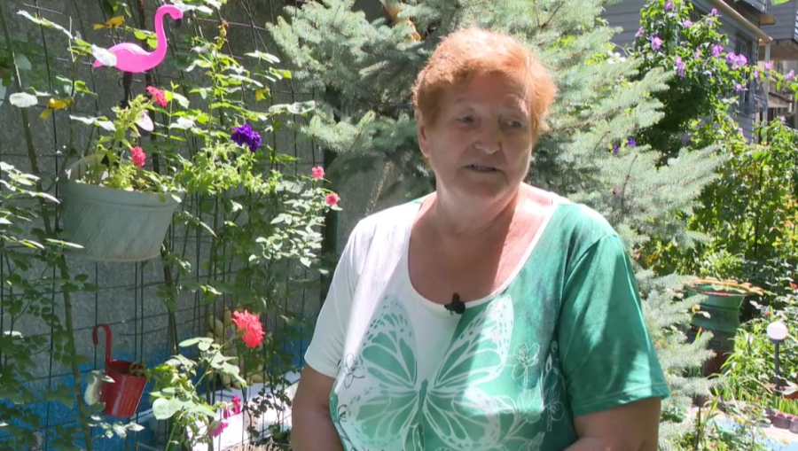 Алматылық зейнеткер көпқабатты үйдің ауласын шағын баққа айналдырды