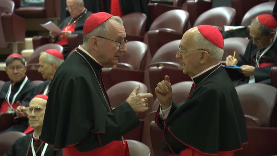 Келесі Рим папасы кім болады?