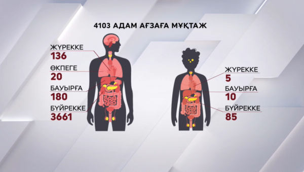 Елімізде 4000-нан астам науқас ағза ауыстыруға мұқтаж