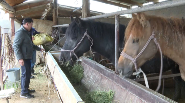 Бизнес по проекту «Ауыл аманаты» развивают жители Жамбылской области