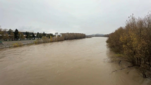 Из-за обильных дождей переполняются реки в ВКО