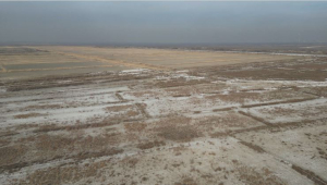 200 тыс. га неосвоенных земель возвращают в госсобственность в Кызылординской области