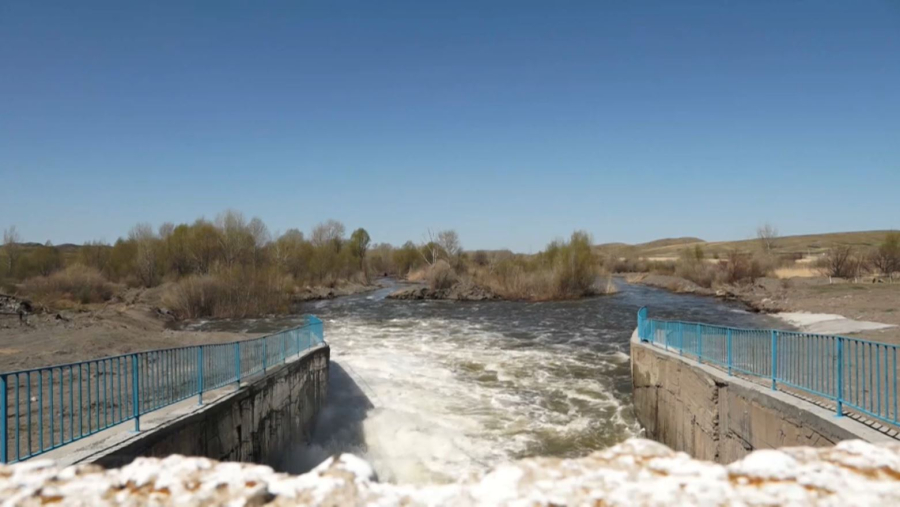 Абай облысында жылдар бойы құрғап тұрған алқаптарға су келді