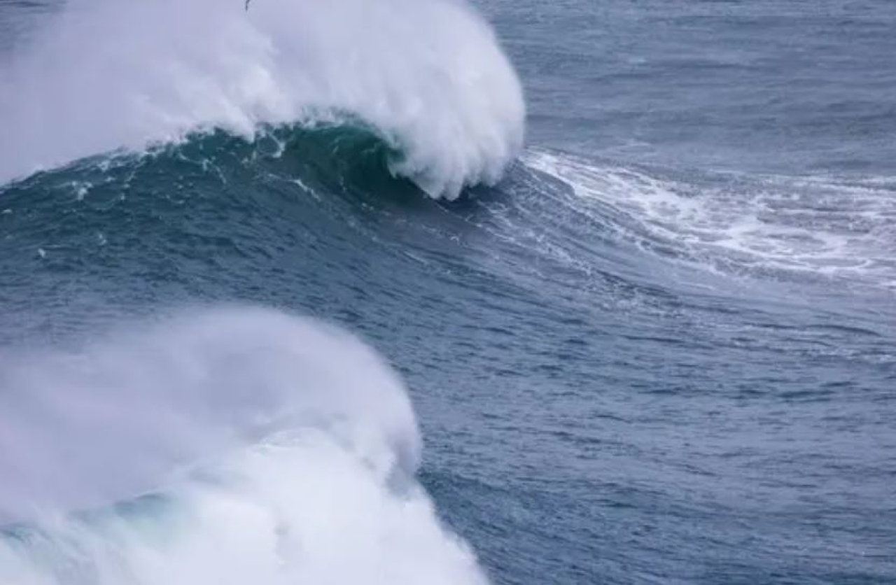 Разлив нефти произошёл на территории нескольких отелей в ОАЭ